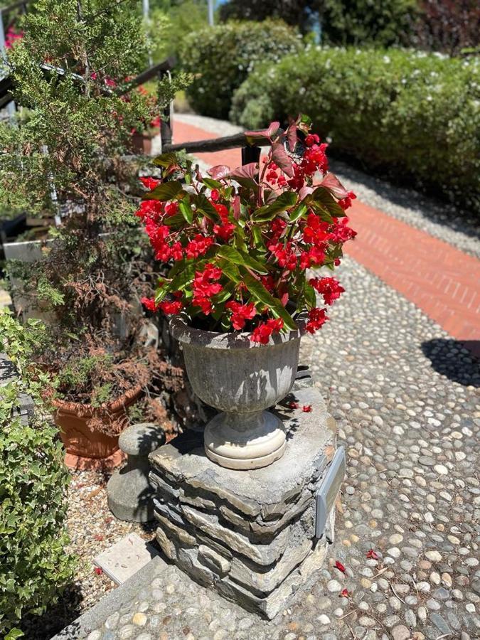 Agriturismo A Canonica 加尔伦达 外观 照片