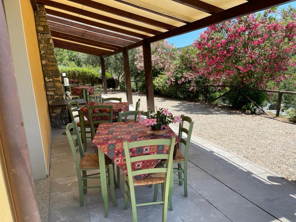 Agriturismo A Canonica 加尔伦达 外观 照片