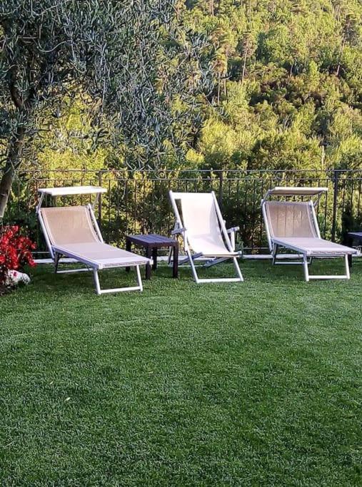 Agriturismo A Canonica 加尔伦达 外观 照片