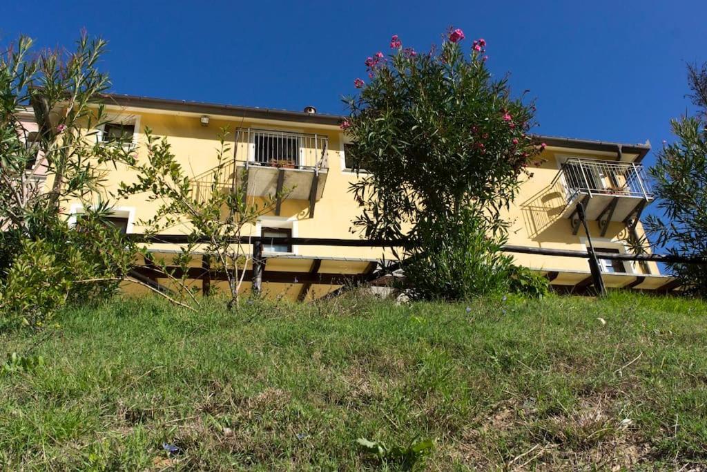 Agriturismo A Canonica 加尔伦达 外观 照片