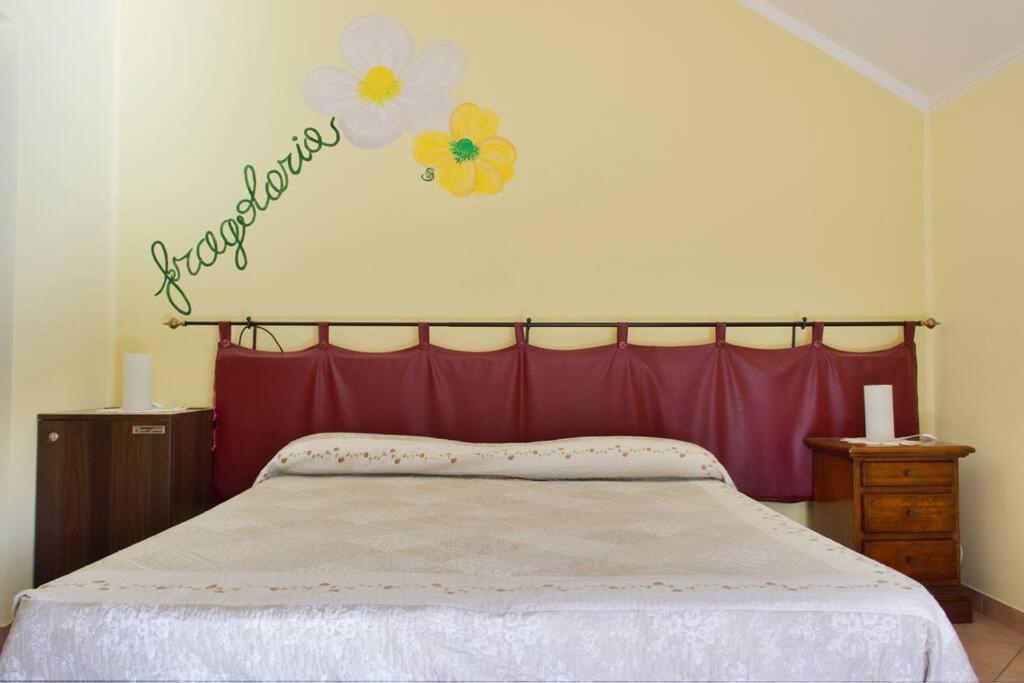 Agriturismo A Canonica 加尔伦达 外观 照片